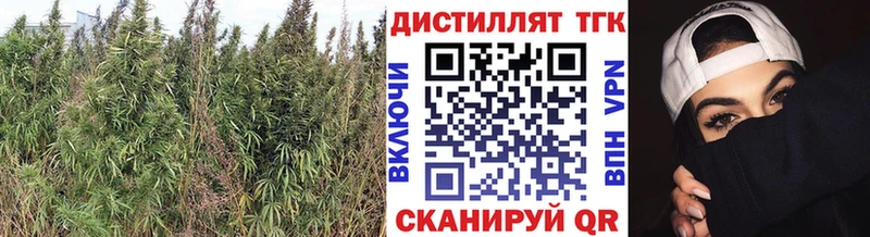продажа наркотиков Тейково ТГК вейп